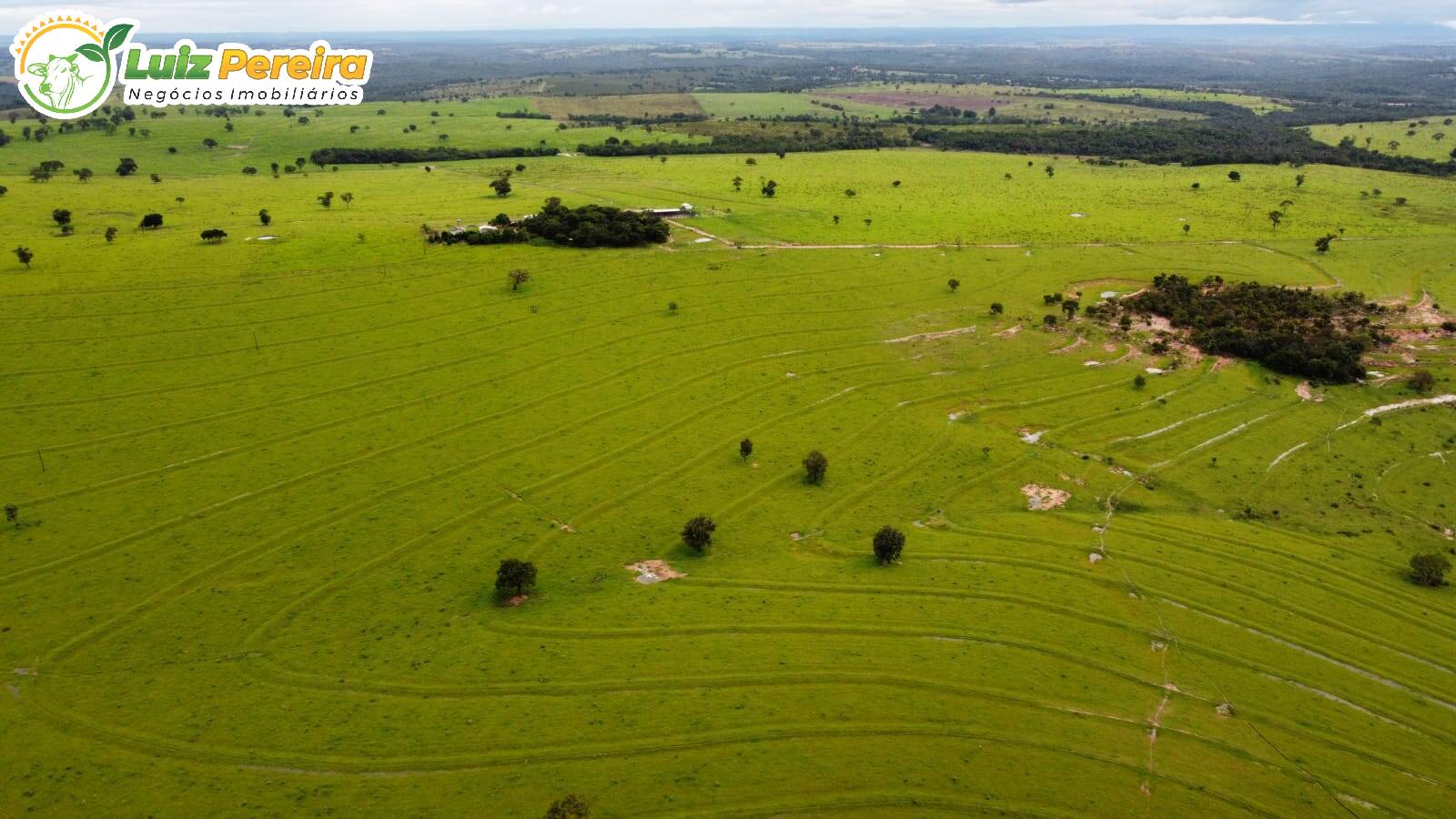 Fazenda à venda, 8655700m² - Foto 11