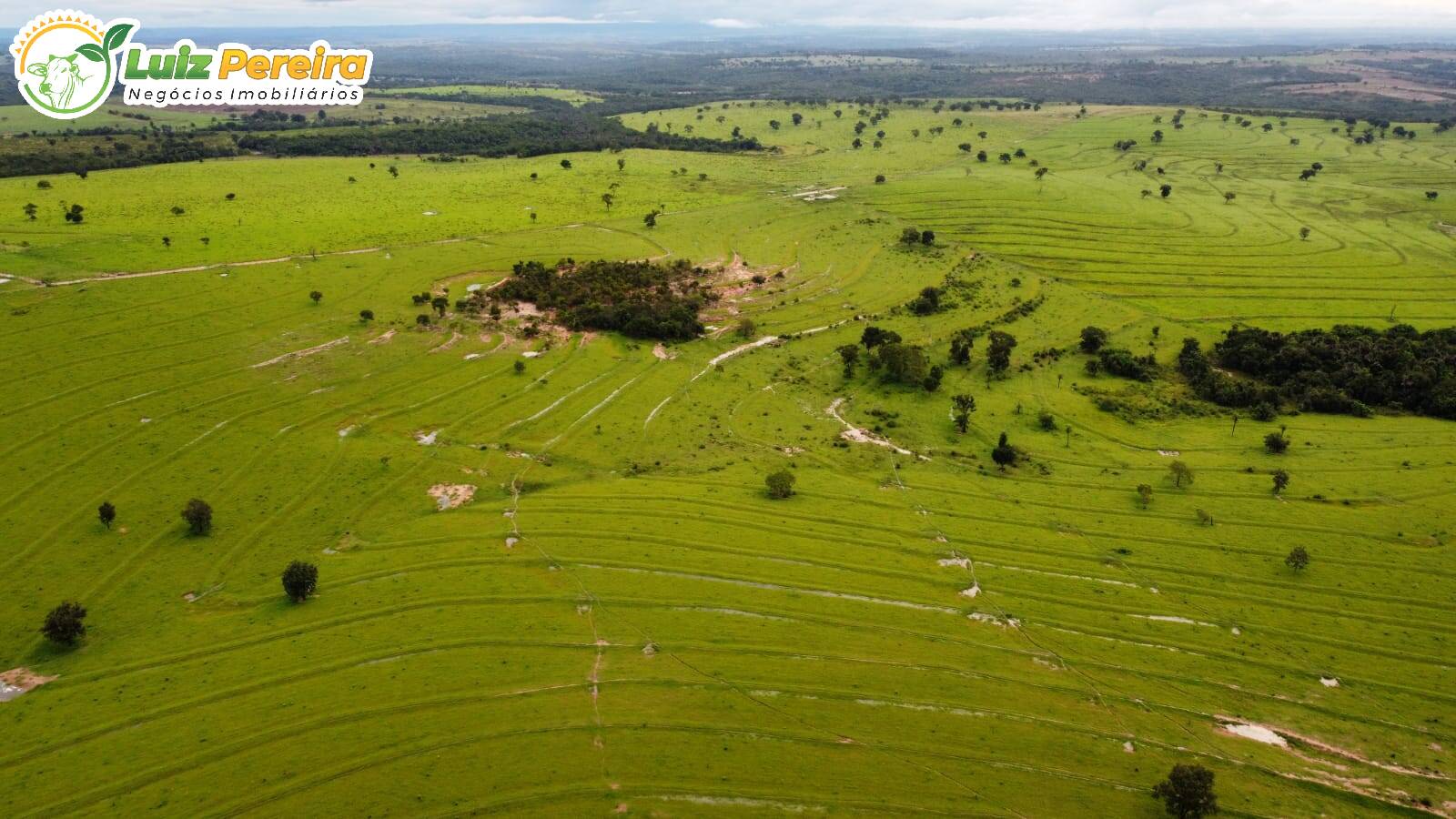 Fazenda à venda, 8655700m² - Foto 7