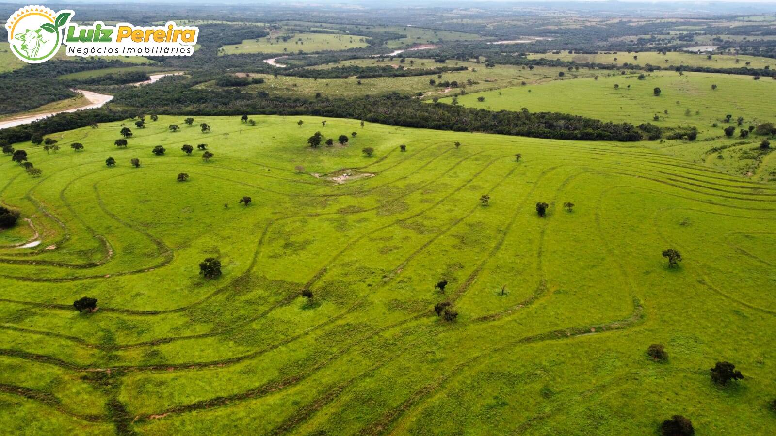 Fazenda à venda, 8655700m² - Foto 8