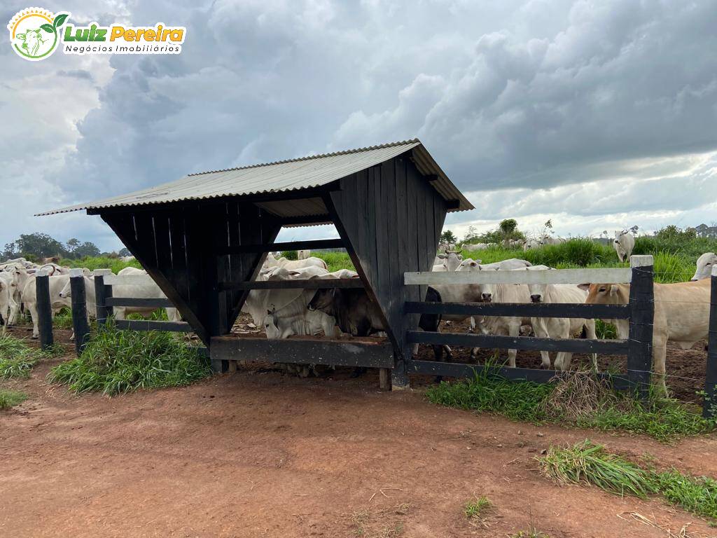 Fazenda à venda, 561440000m² - Foto 3