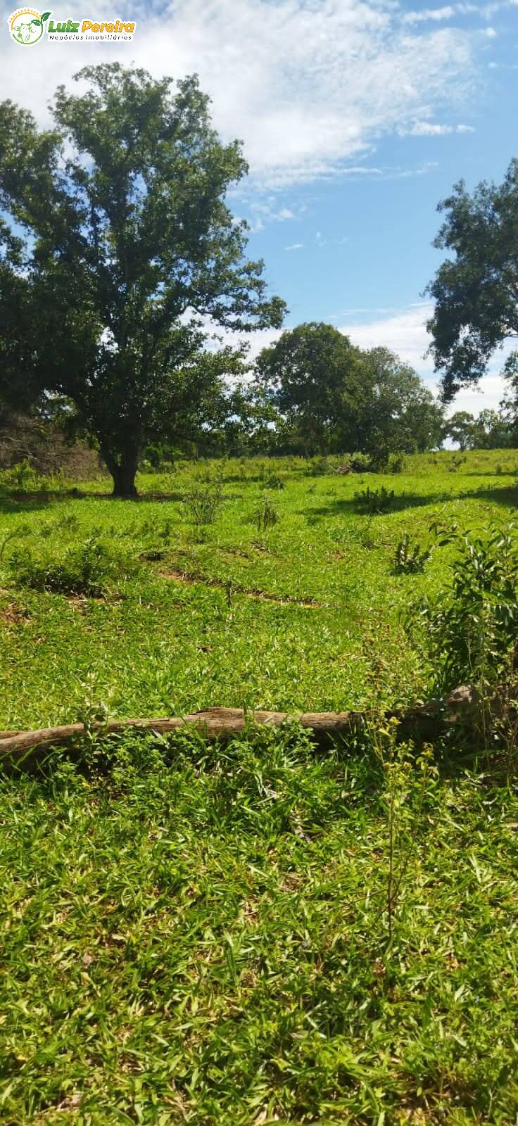 Terreno à venda, 800000m² - Foto 15