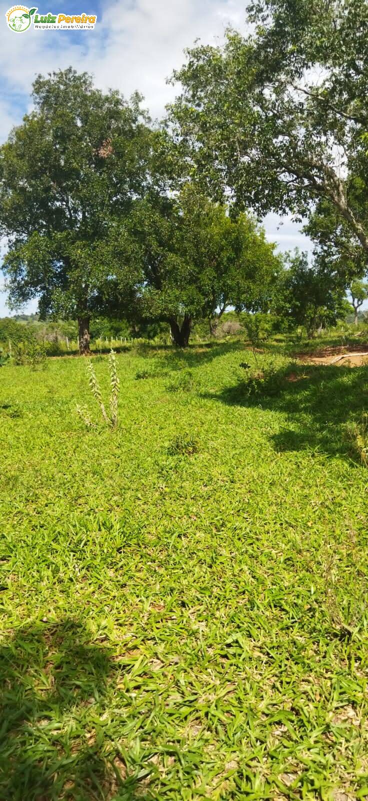 Terreno à venda, 800000m² - Foto 14