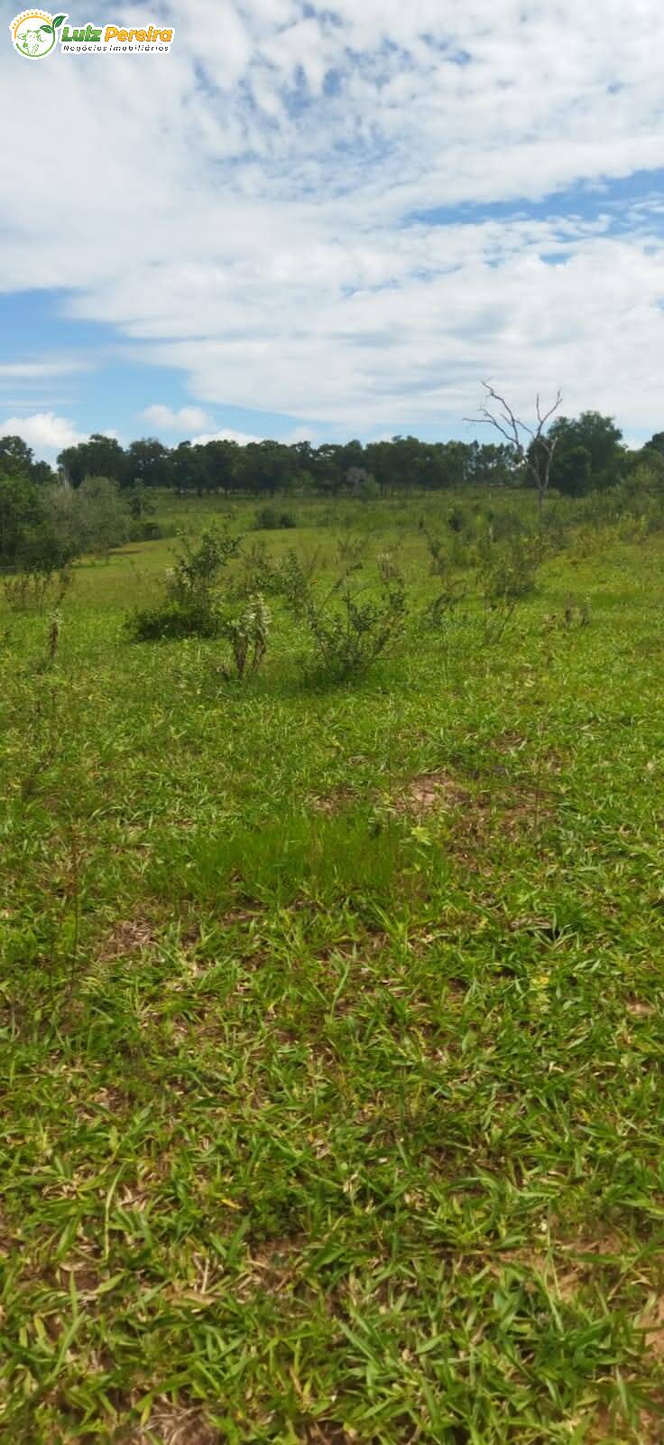 Terreno à venda, 800000m² - Foto 13