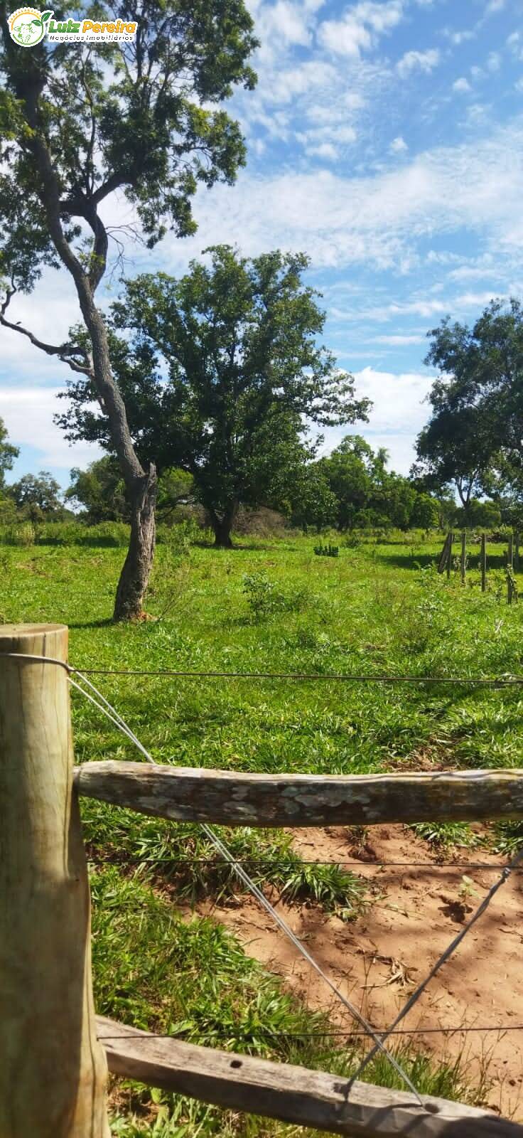 Terreno à venda, 800000m² - Foto 16