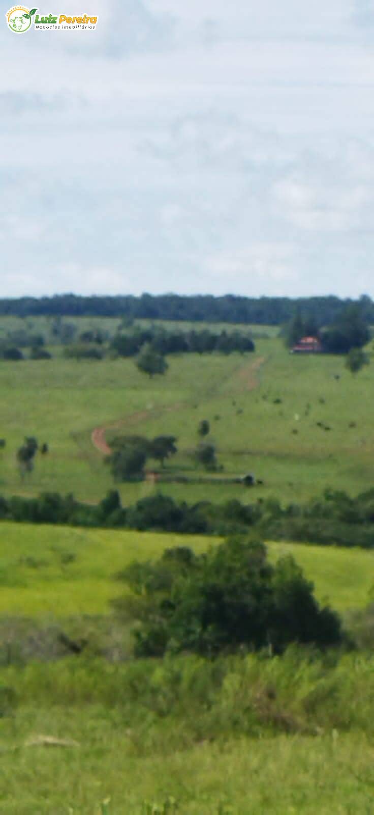 Terreno à venda, 800000m² - Foto 8