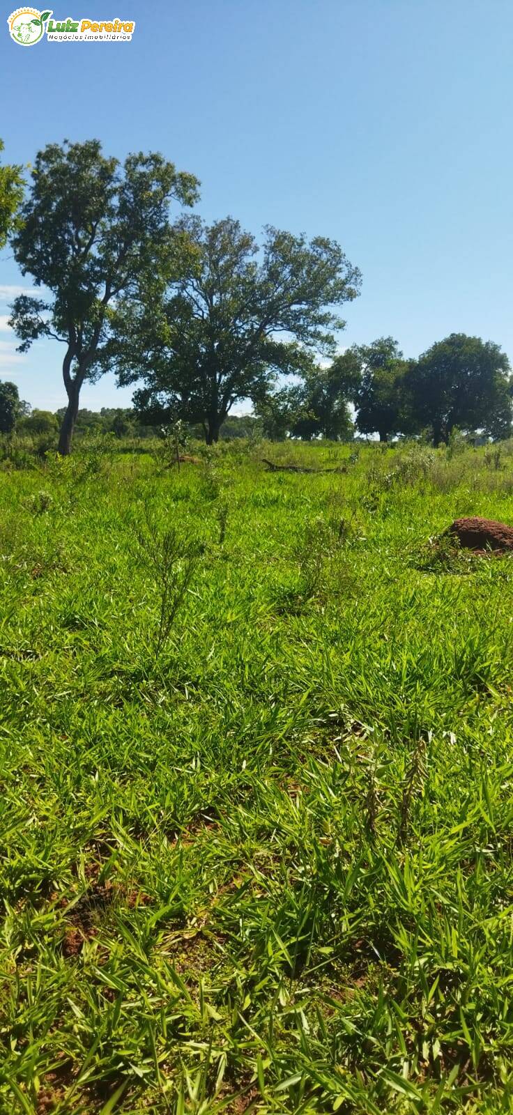 Terreno à venda, 800000m² - Foto 21