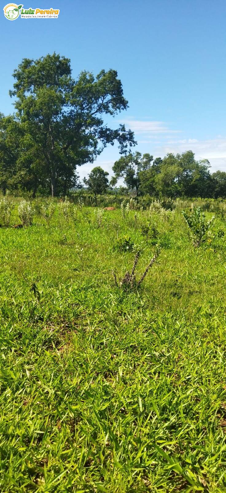 Terreno à venda, 800000m² - Foto 22