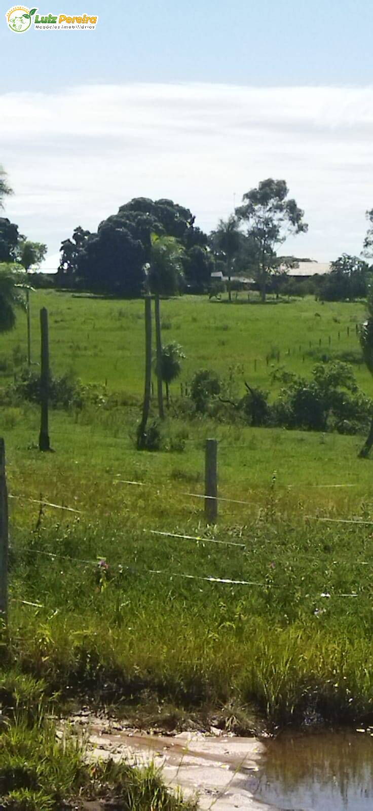 Terreno à venda, 800000m² - Foto 9