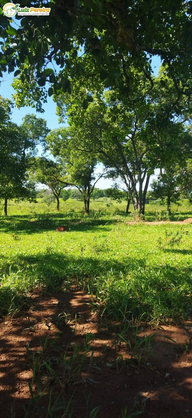 Terreno à venda, 800000m² - Foto 24