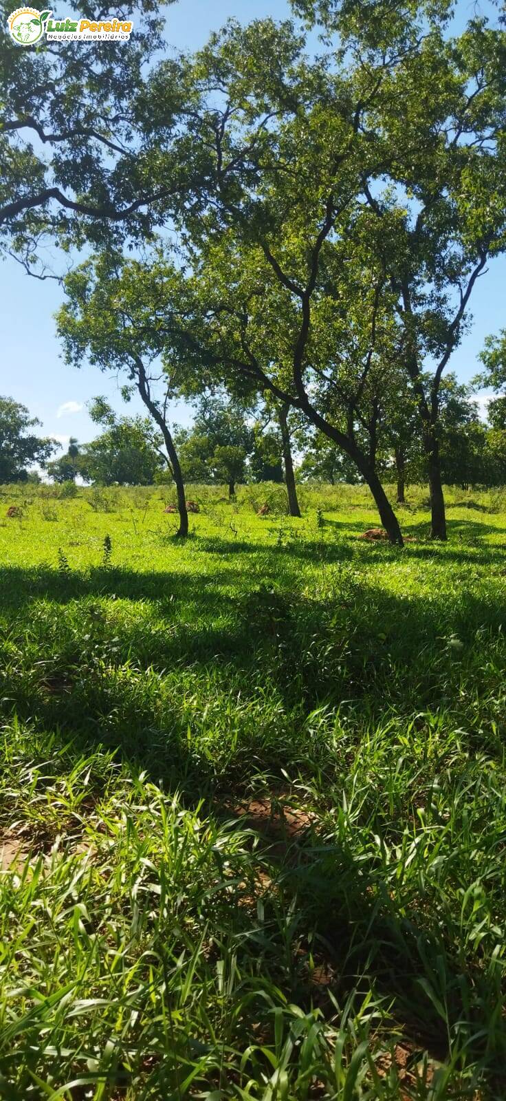 Terreno à venda, 800000m² - Foto 26