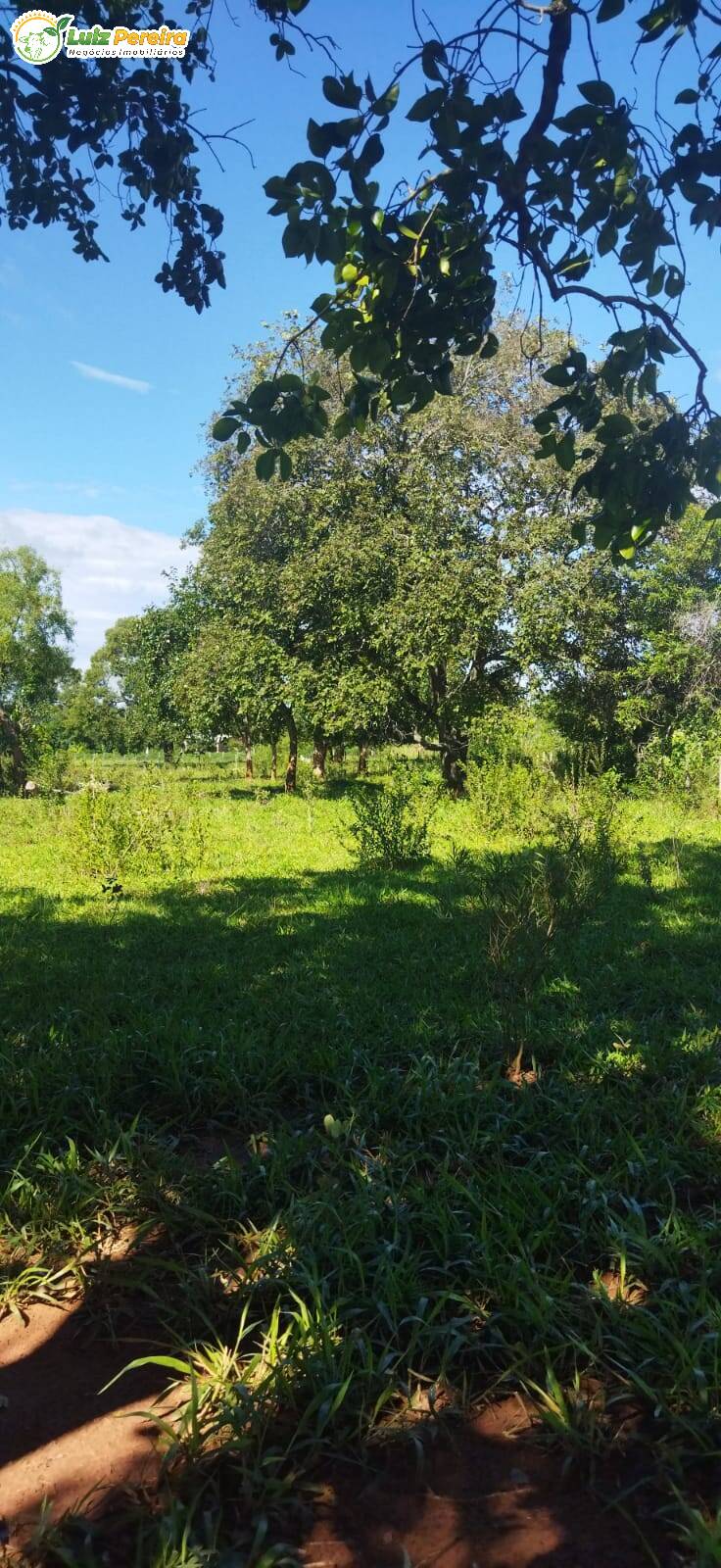 Terreno à venda, 800000m² - Foto 25