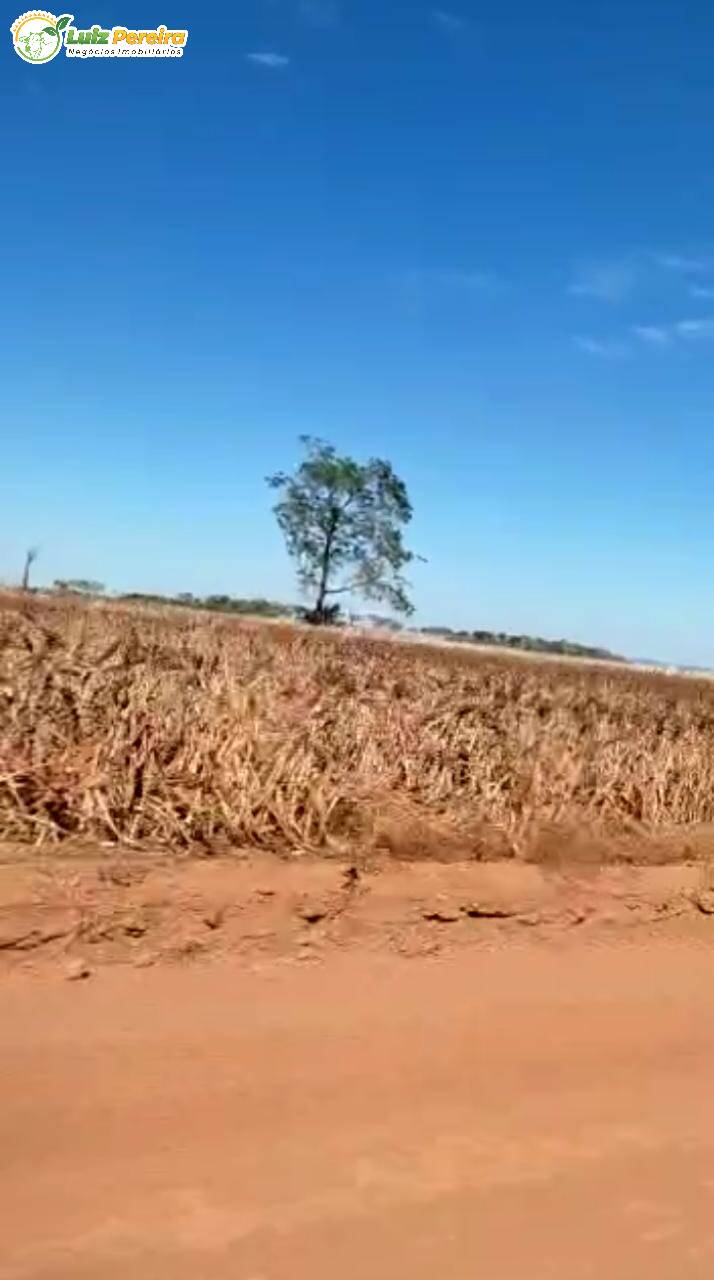 Fazenda à venda, 48400000m² - Foto 6