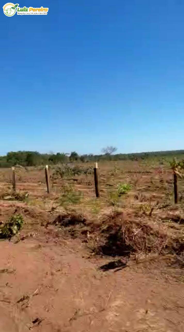 Fazenda à venda, 48400000m² - Foto 7