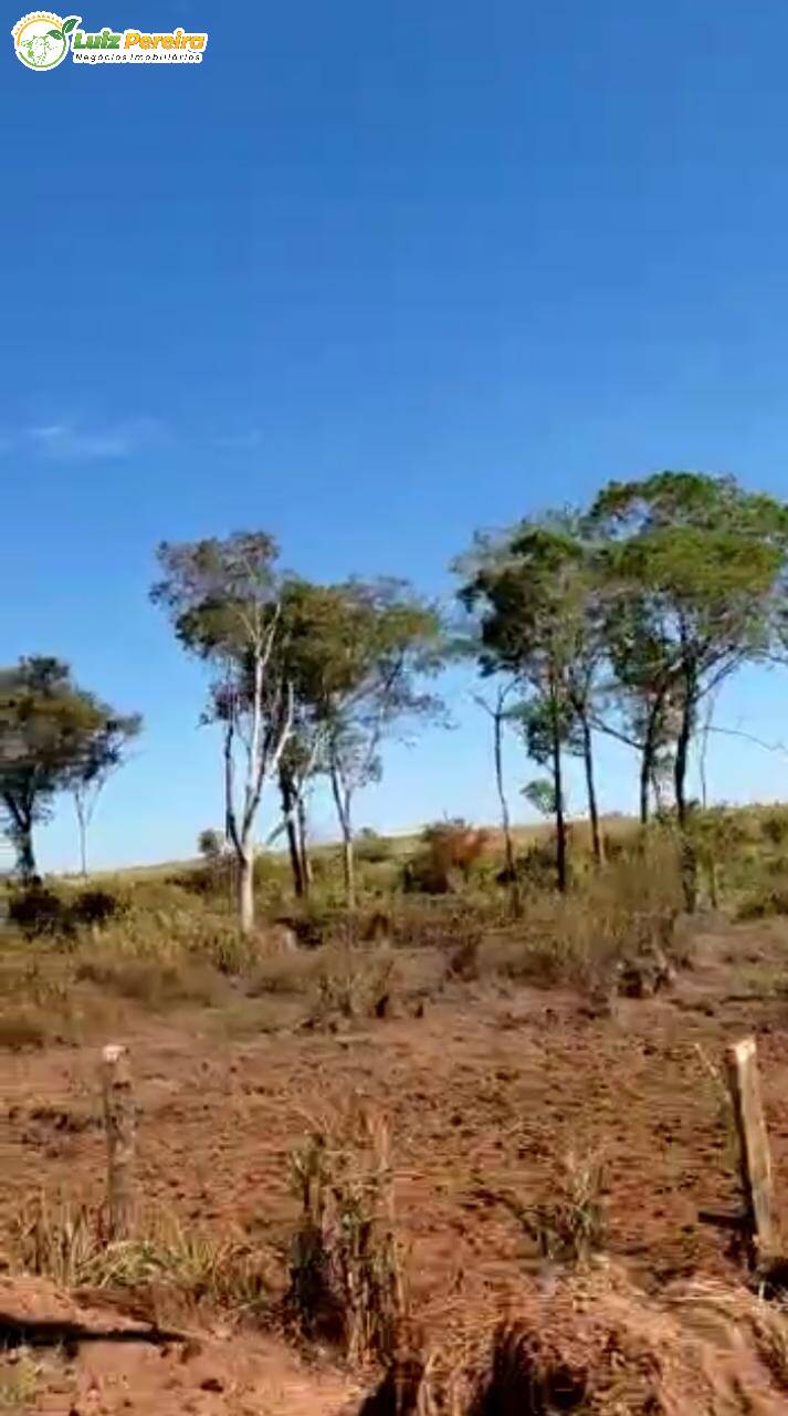 Fazenda à venda, 48400000m² - Foto 3