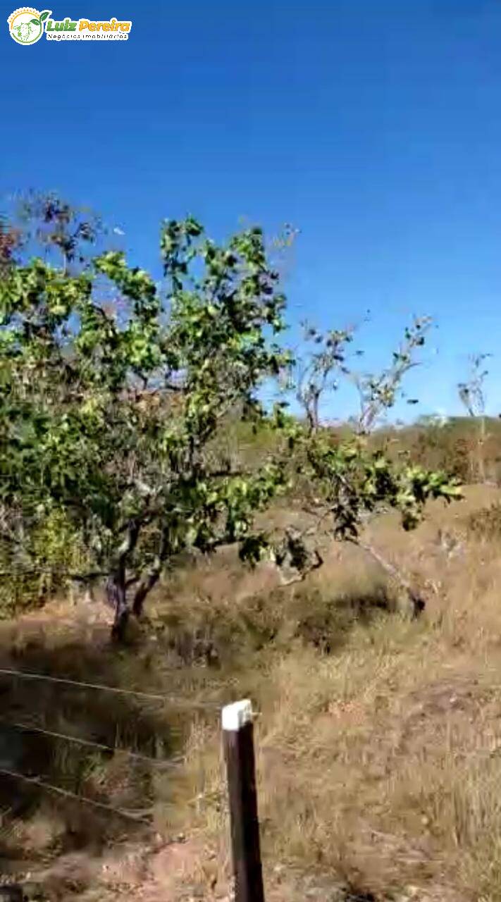 Fazenda à venda, 48400000m² - Foto 13