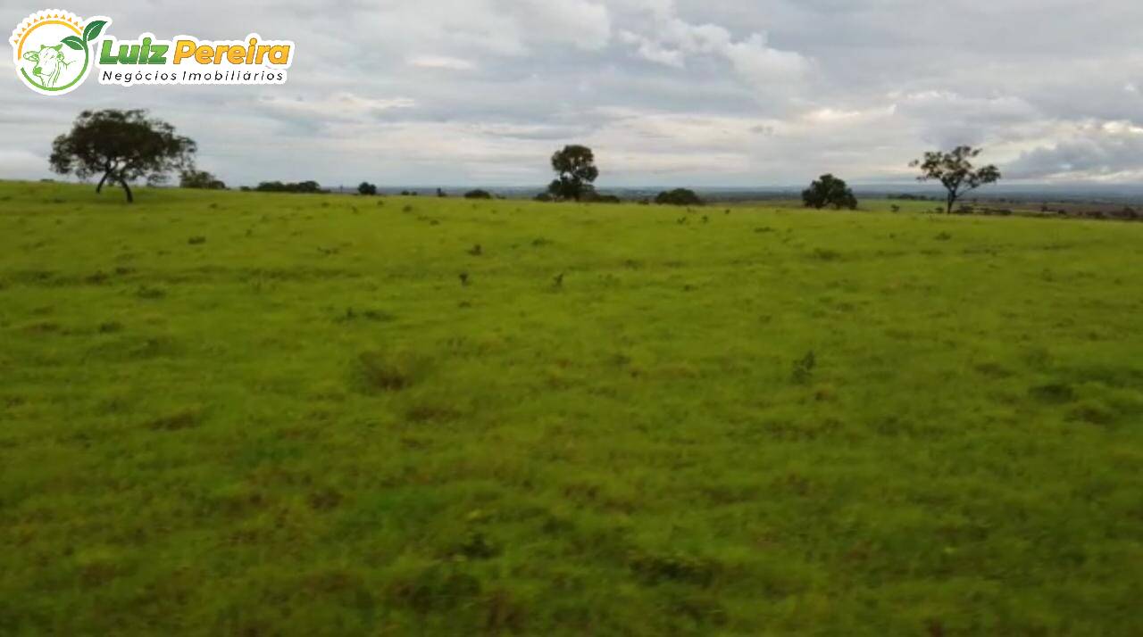 Fazenda à venda, 48400000m² - Foto 1