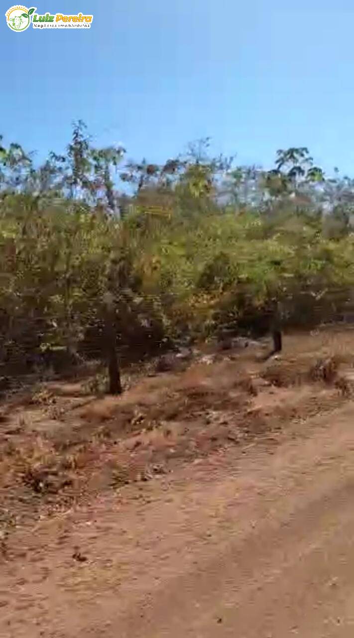 Fazenda à venda, 48400000m² - Foto 16