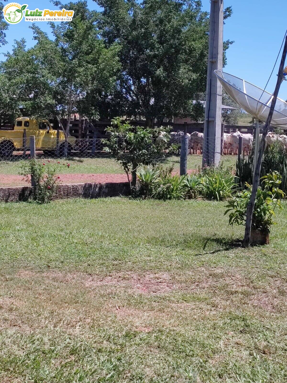 Fazenda à venda, 12480000m² - Foto 8