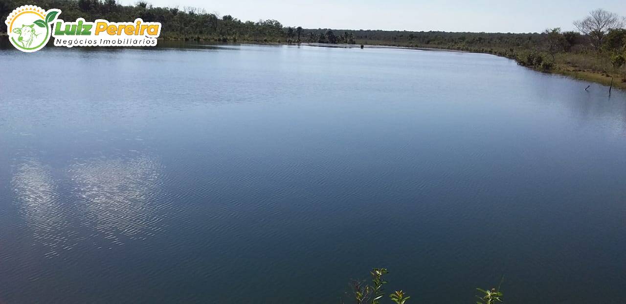 Fazenda à venda, 12480000m² - Foto 5