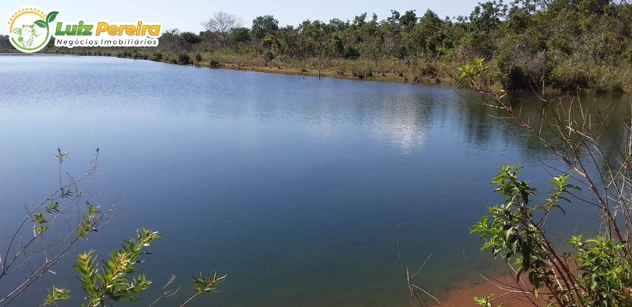 Fazenda à venda, 12480000m² - Foto 4