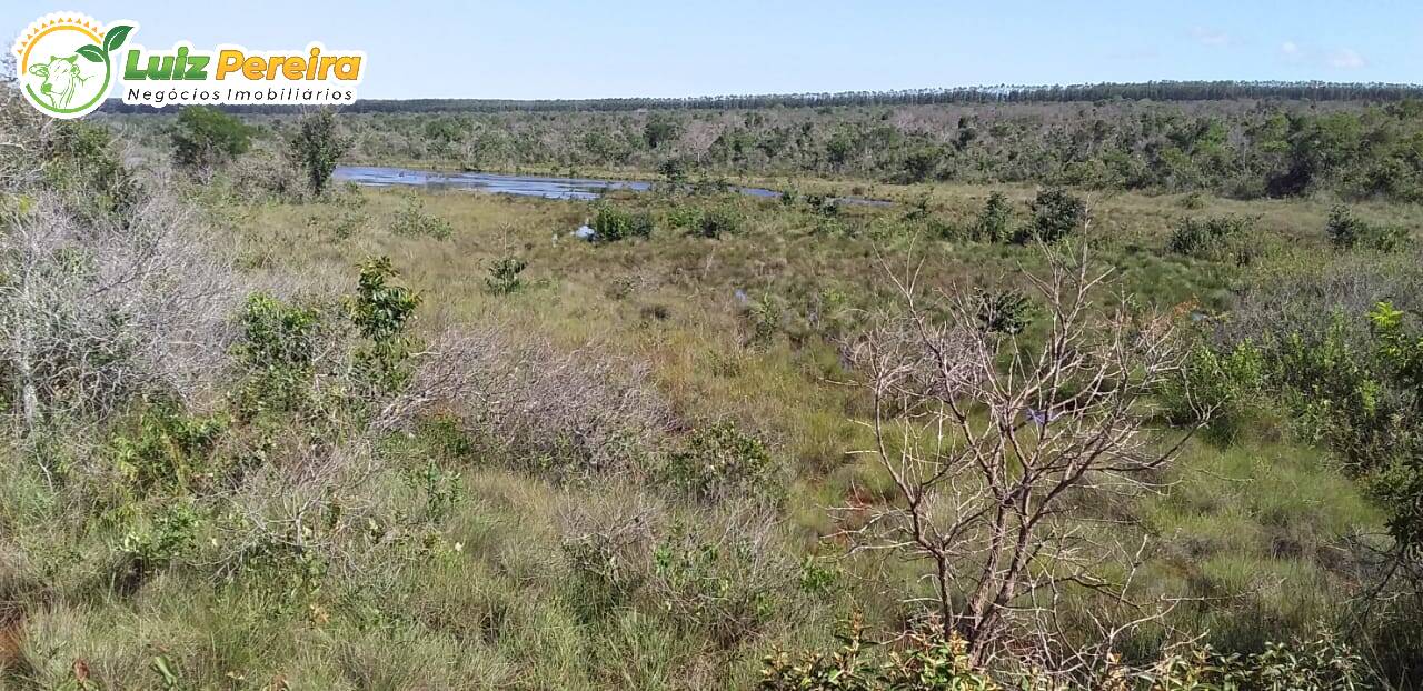 Fazenda à venda, 12480000m² - Foto 3