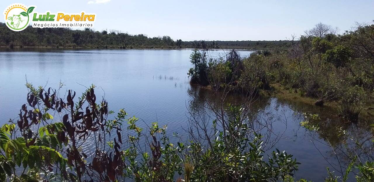 Fazenda à venda, 12480000m² - Foto 7