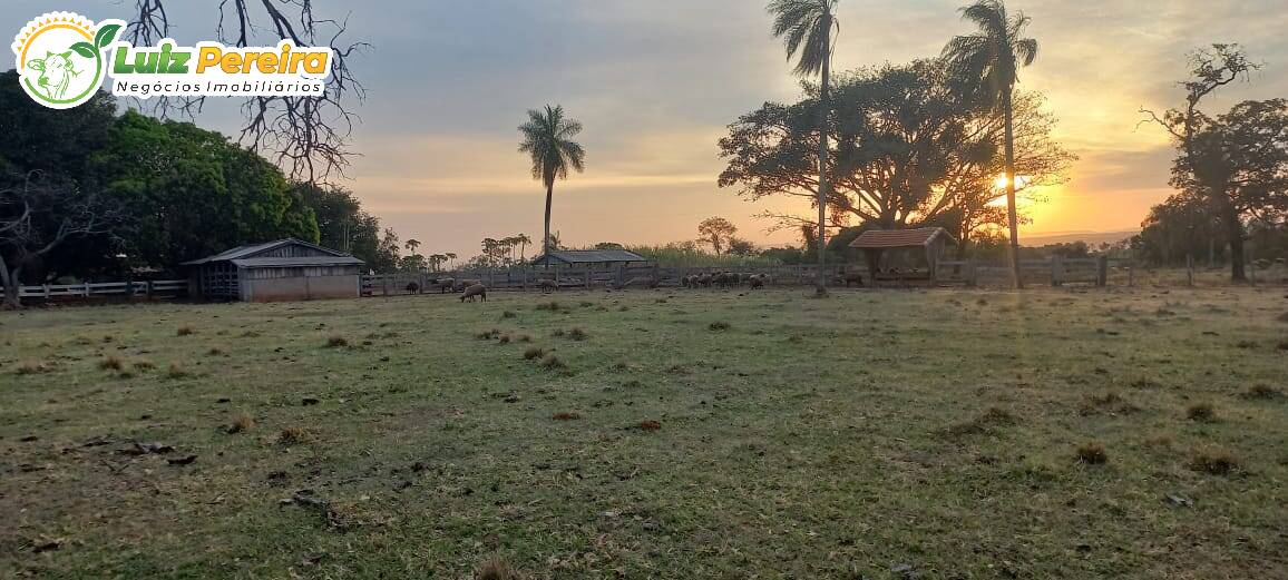 Fazenda à venda, 4000000m² - Foto 11