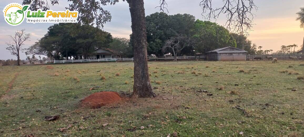 Fazenda à venda, 4000000m² - Foto 15