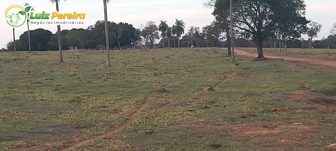 Fazenda à venda, 4000000m² - Foto 12