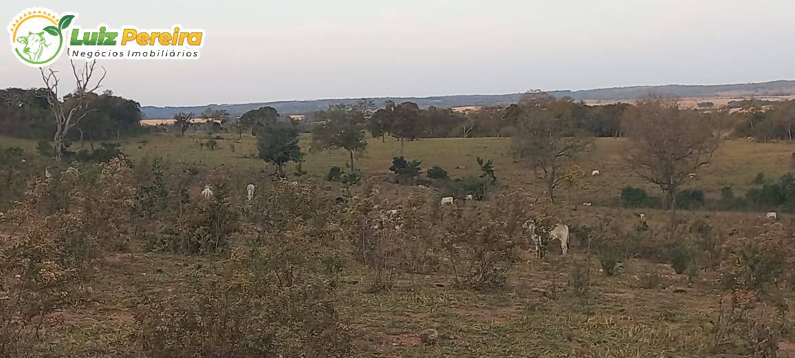 Fazenda à venda, 4000000m² - Foto 10