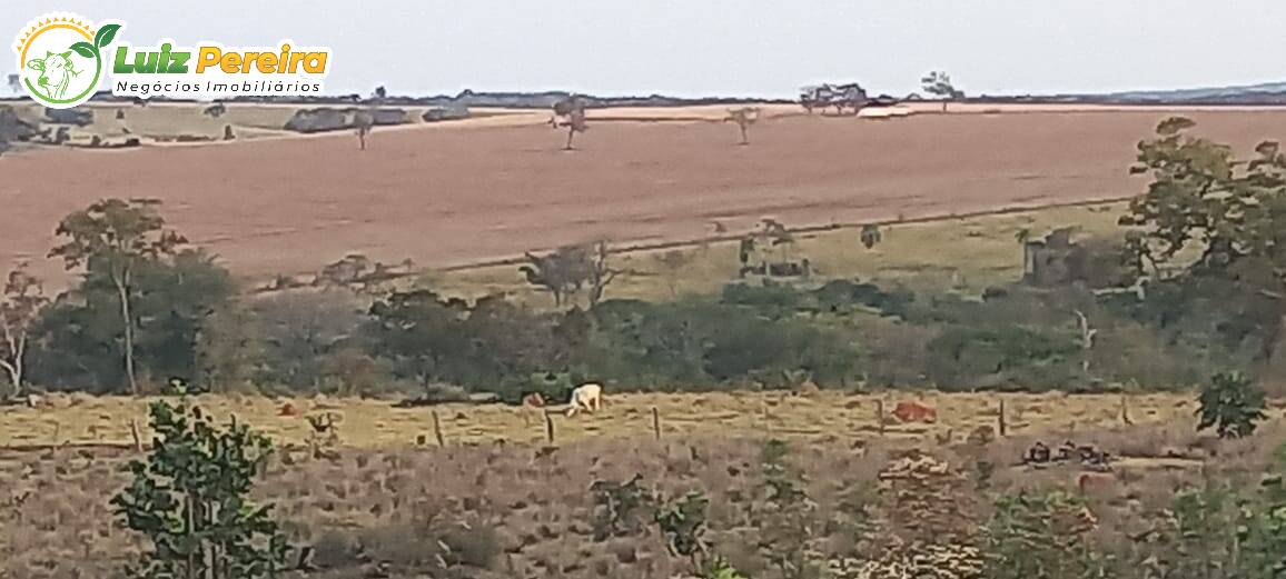 Fazenda à venda, 4000000m² - Foto 17