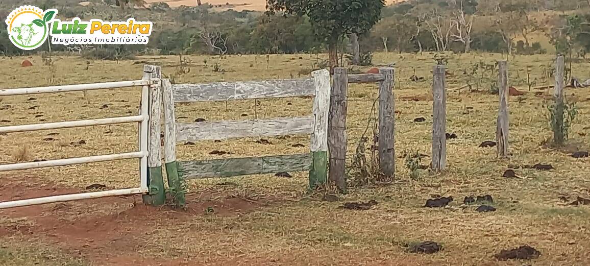 Fazenda à venda, 4000000m² - Foto 20