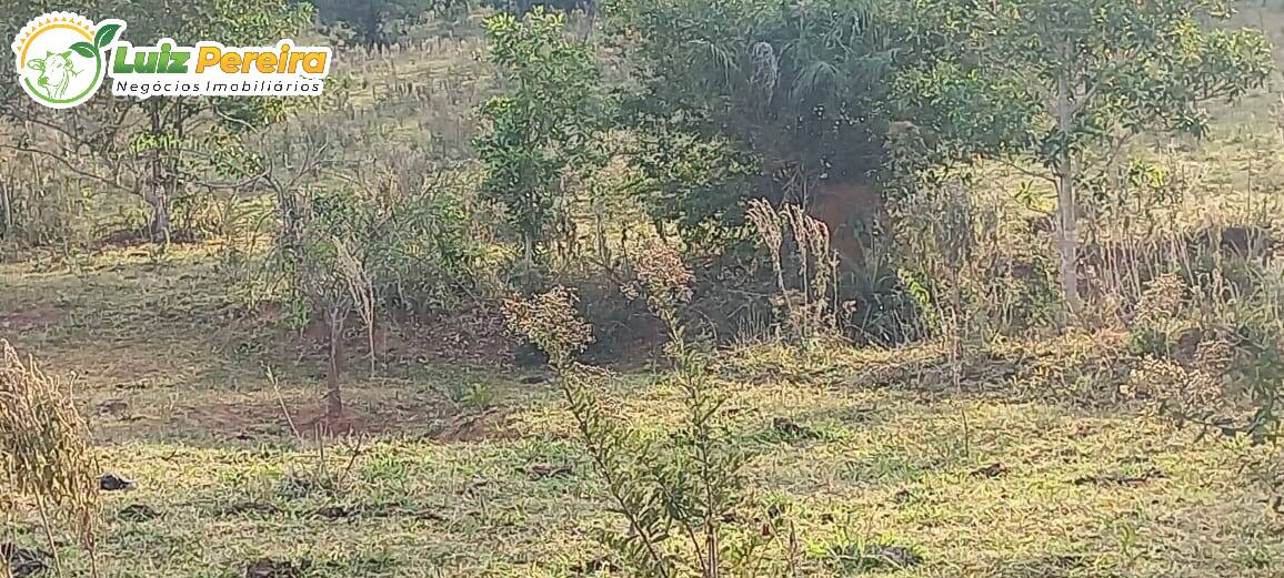 Fazenda à venda, 4000000m² - Foto 6