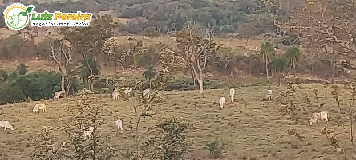 Fazenda à venda, 4000000m² - Foto 5