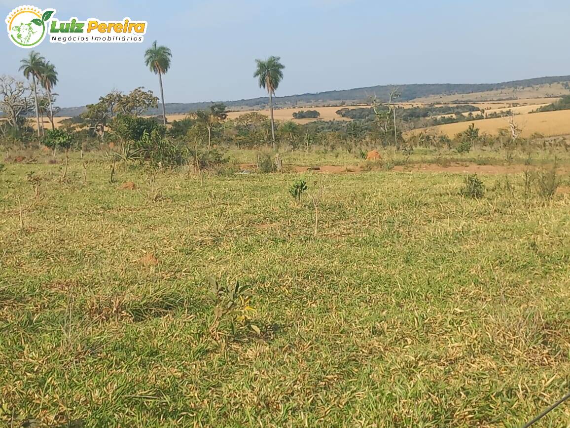 Fazenda à venda, 4000000m² - Foto 7