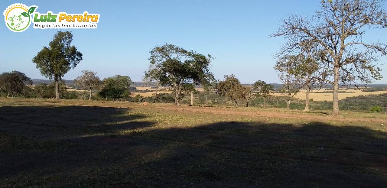 Fazenda à venda, 4000000m² - Foto 13