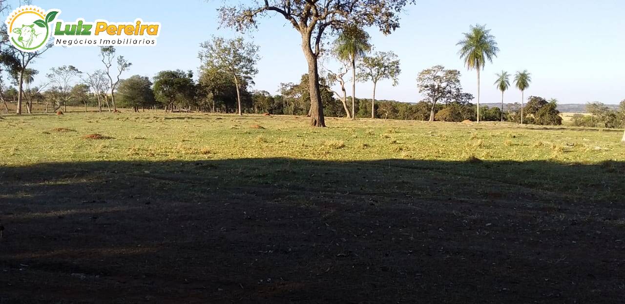 Fazenda à venda, 4000000m² - Foto 9