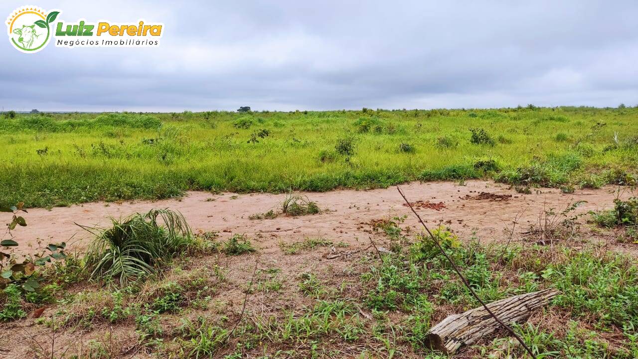 Fazenda à venda, 290000000m² - Foto 15