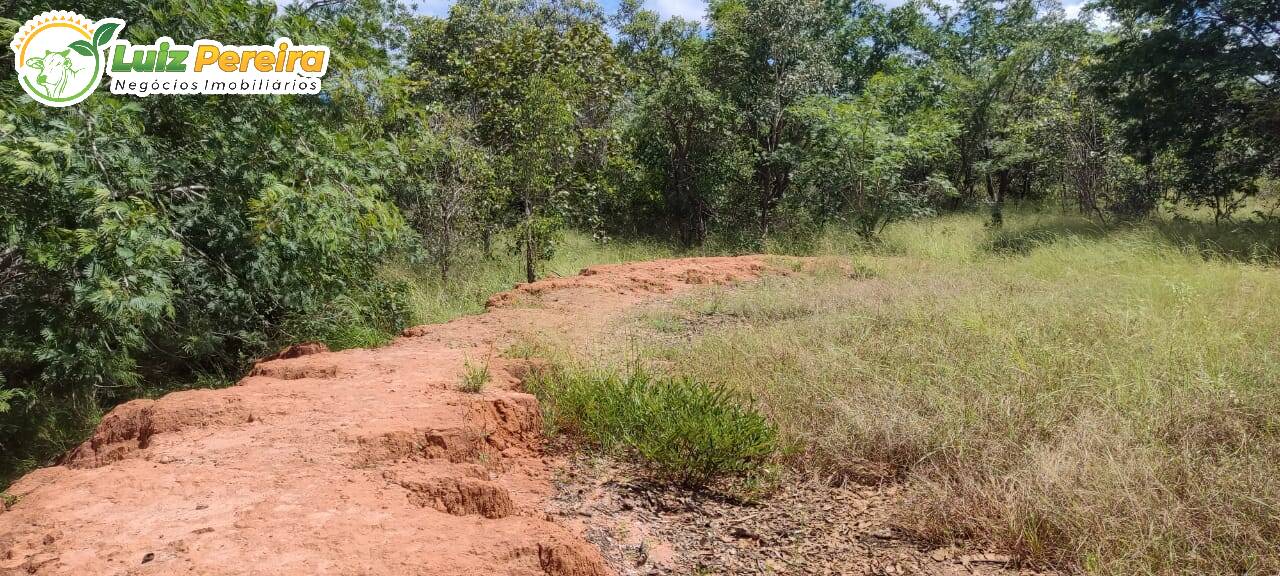 Fazenda à venda, 290000000m² - Foto 9