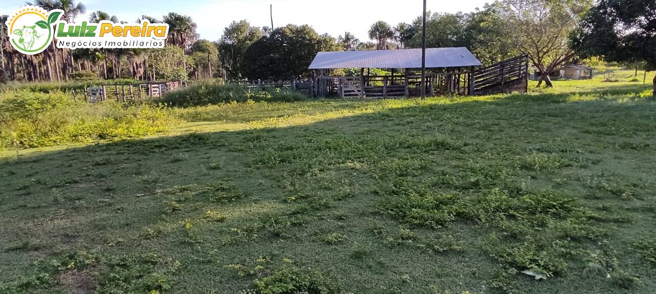 Fazenda à venda, 290000000m² - Foto 6