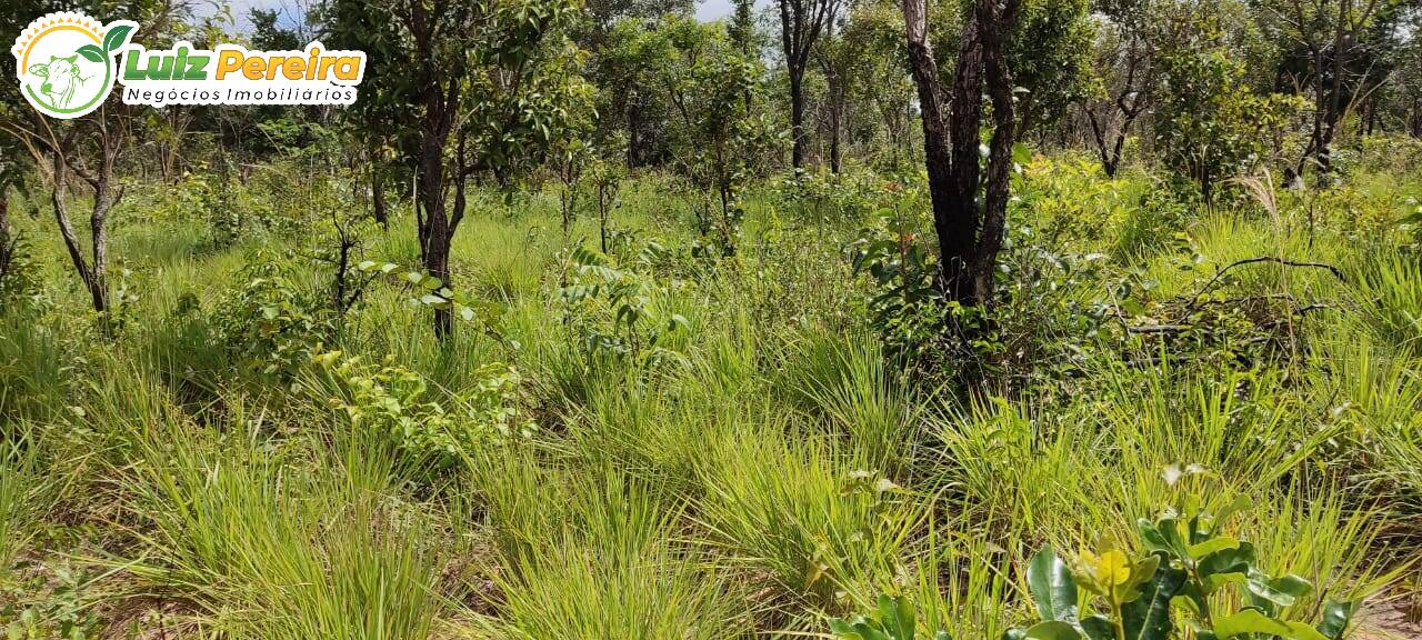 Fazenda à venda, 290000000m² - Foto 7