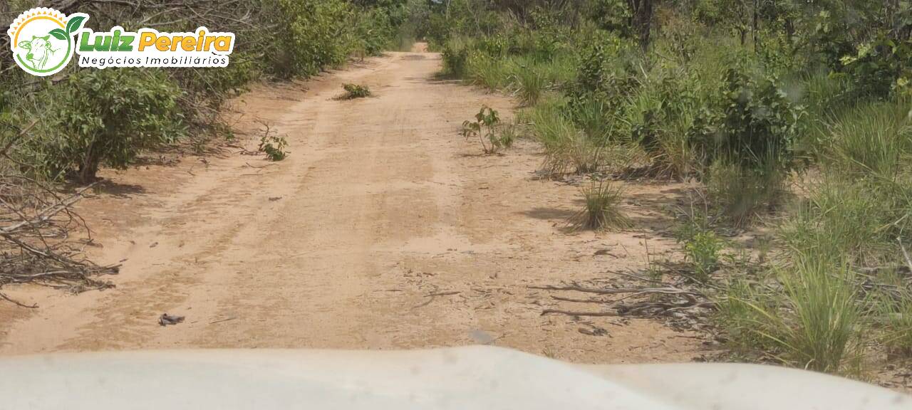 Fazenda à venda, 290000000m² - Foto 10