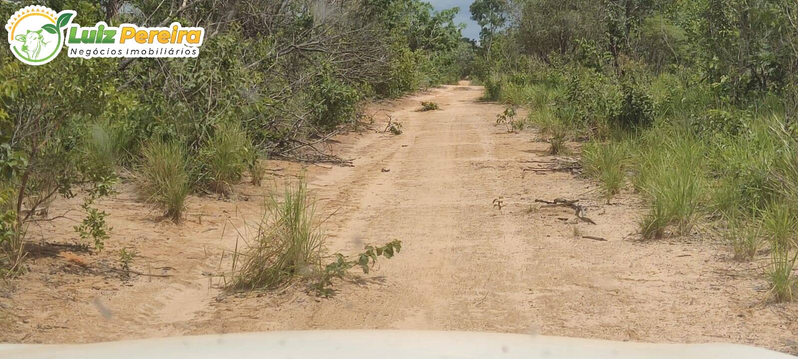 Fazenda à venda, 290000000m² - Foto 14