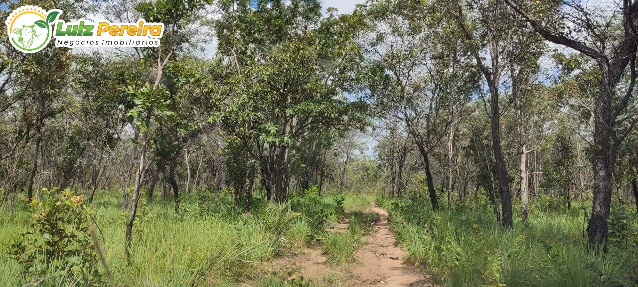 Fazenda à venda, 290000000m² - Foto 12