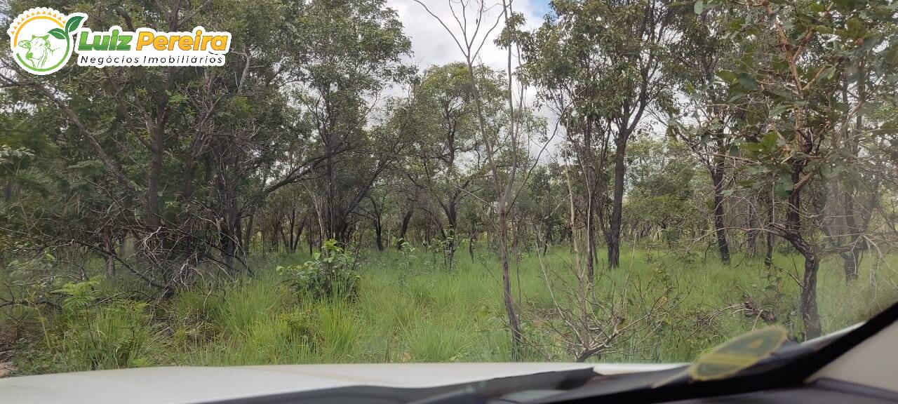 Fazenda à venda, 290000000m² - Foto 13