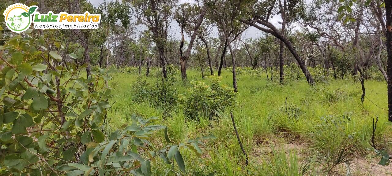 Fazenda à venda, 290000000m² - Foto 5