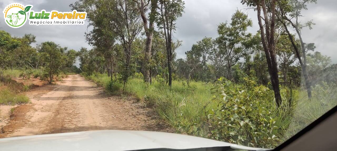 Fazenda à venda, 290000000m² - Foto 17