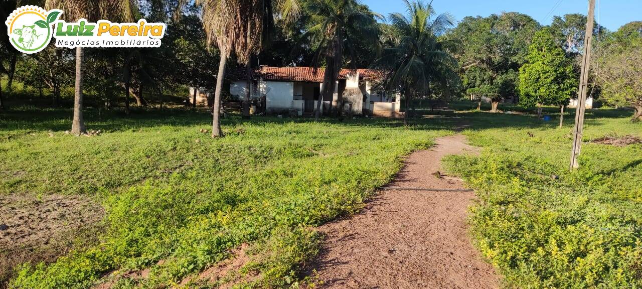 Fazenda à venda, 290000000m² - Foto 16