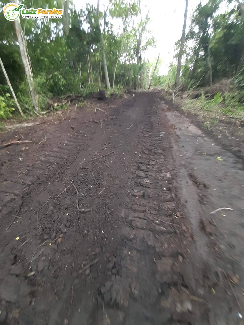 Fazenda à venda, 7000000m² - Foto 5