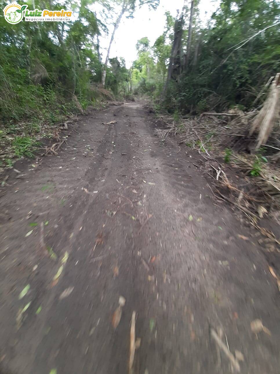 Fazenda à venda, 7000000m² - Foto 6